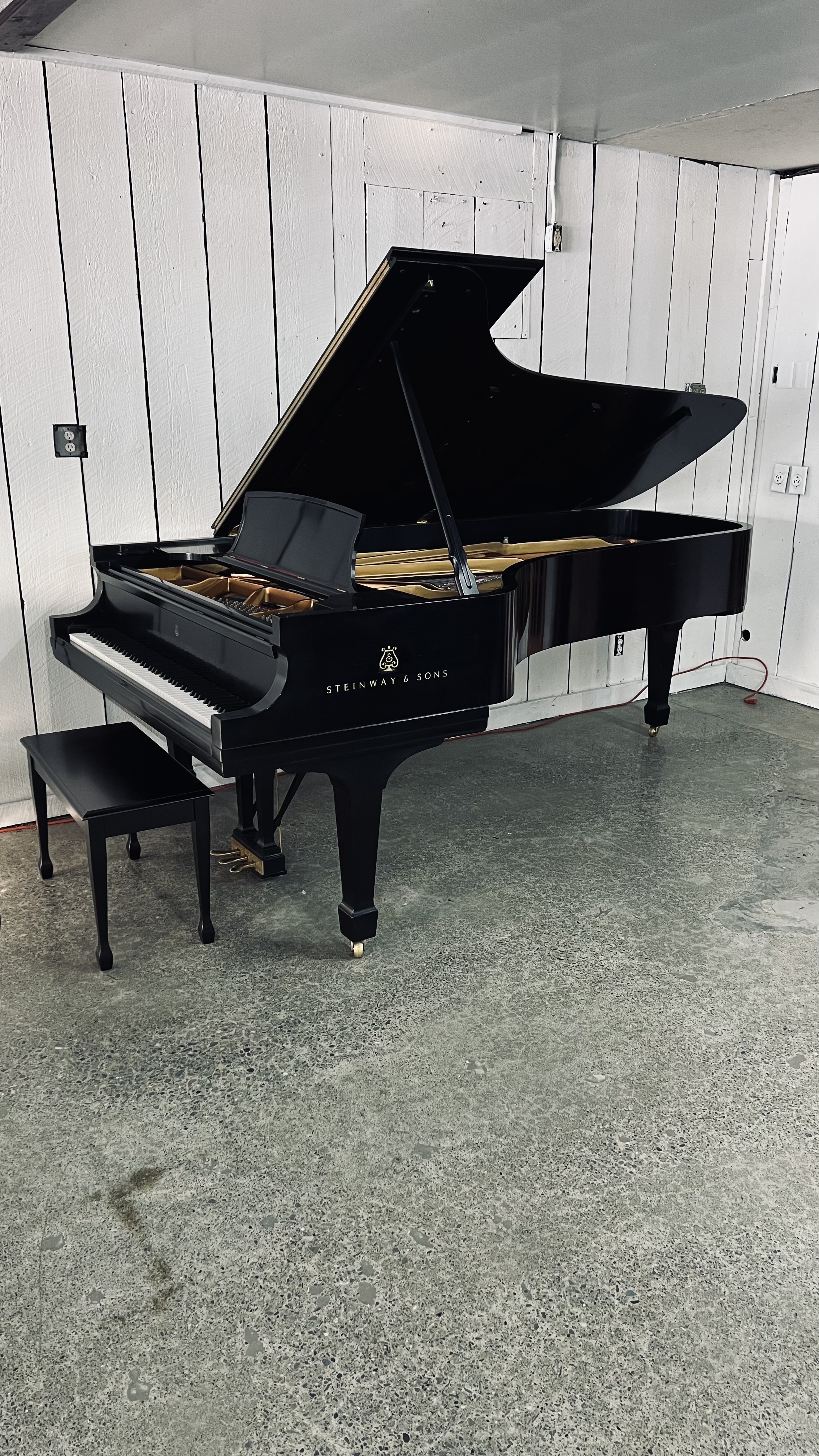 2002 Steinway & Sons Model D