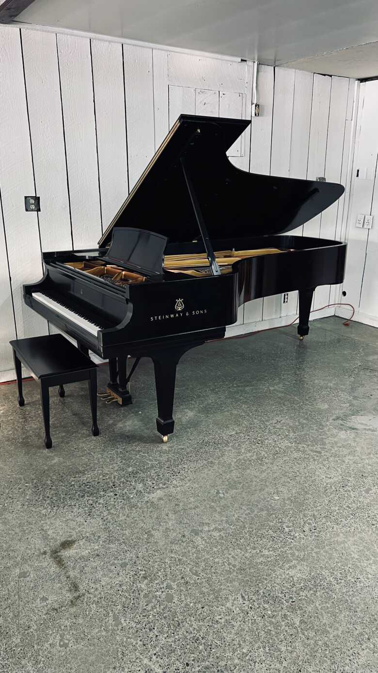 2002 Steinway & Sons Model D