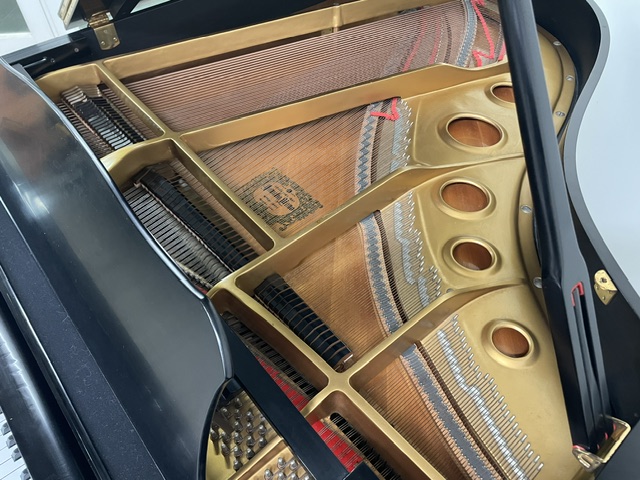 Yamaha Grand Piano