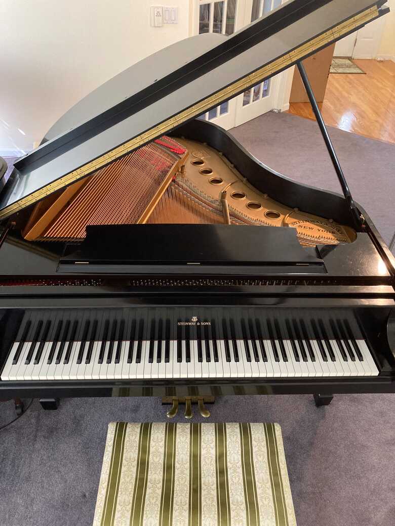 Steinway Model M, New actions/strings/pins, sale by owner