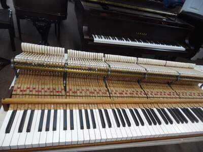 VERY RARE STEINWAY STYLE lll