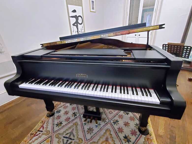 Beautifully maintained Satin Black Estonia L168