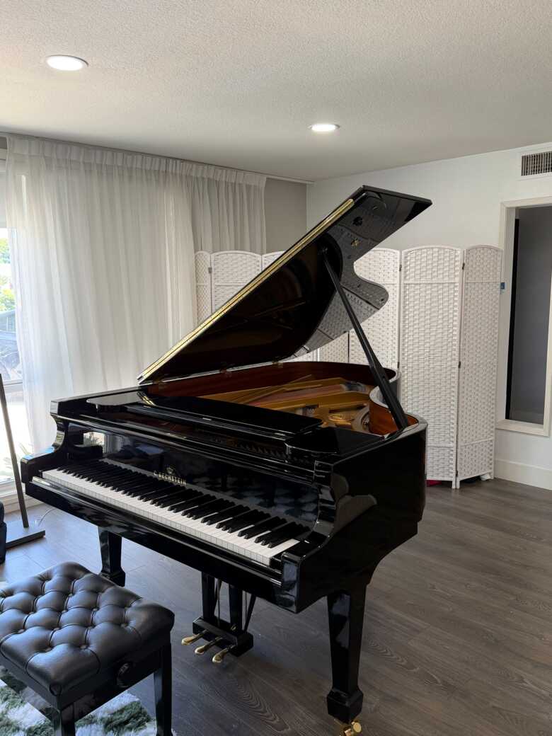 Bechstein A208( Year 2021)