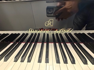 Top line of the Japanese Piano 