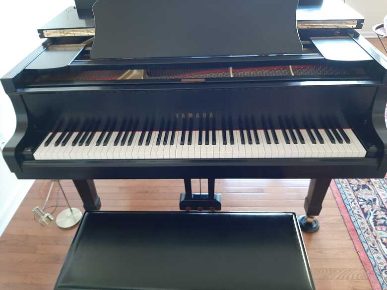Excellent Condition - Yamaha Baby Grand - Bench Included
