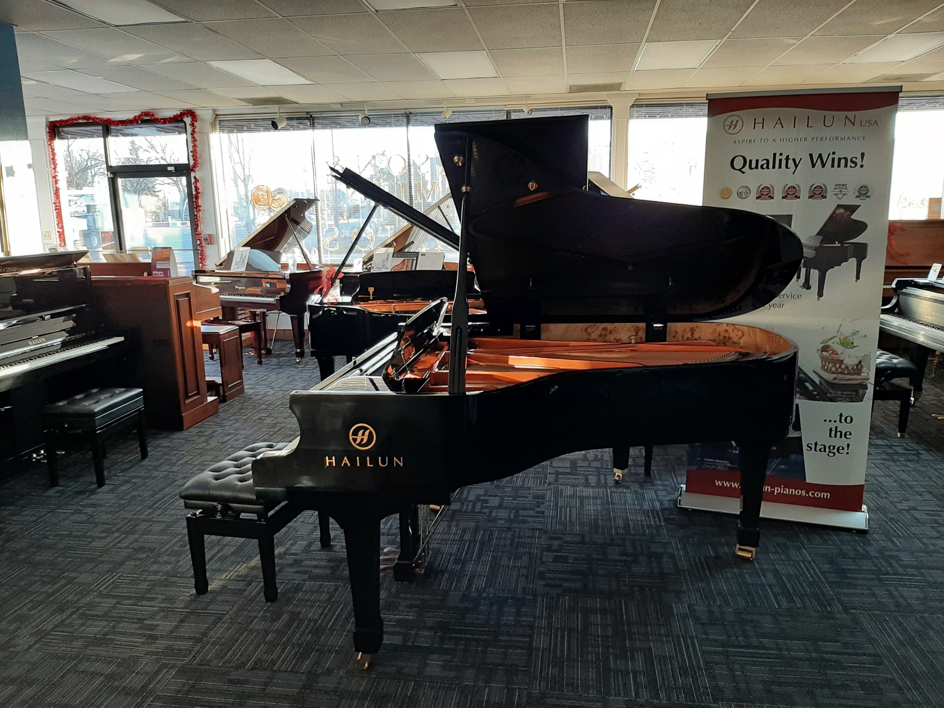 NEW HAILUN High Quality Grand Piano 6'5" Model HG198  