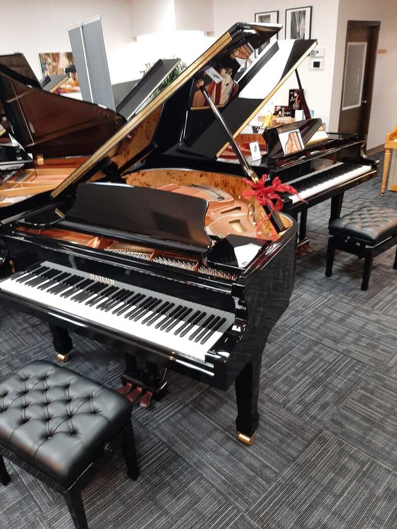 NEW HAILUN Baby Grand Piano 5' Model HG151