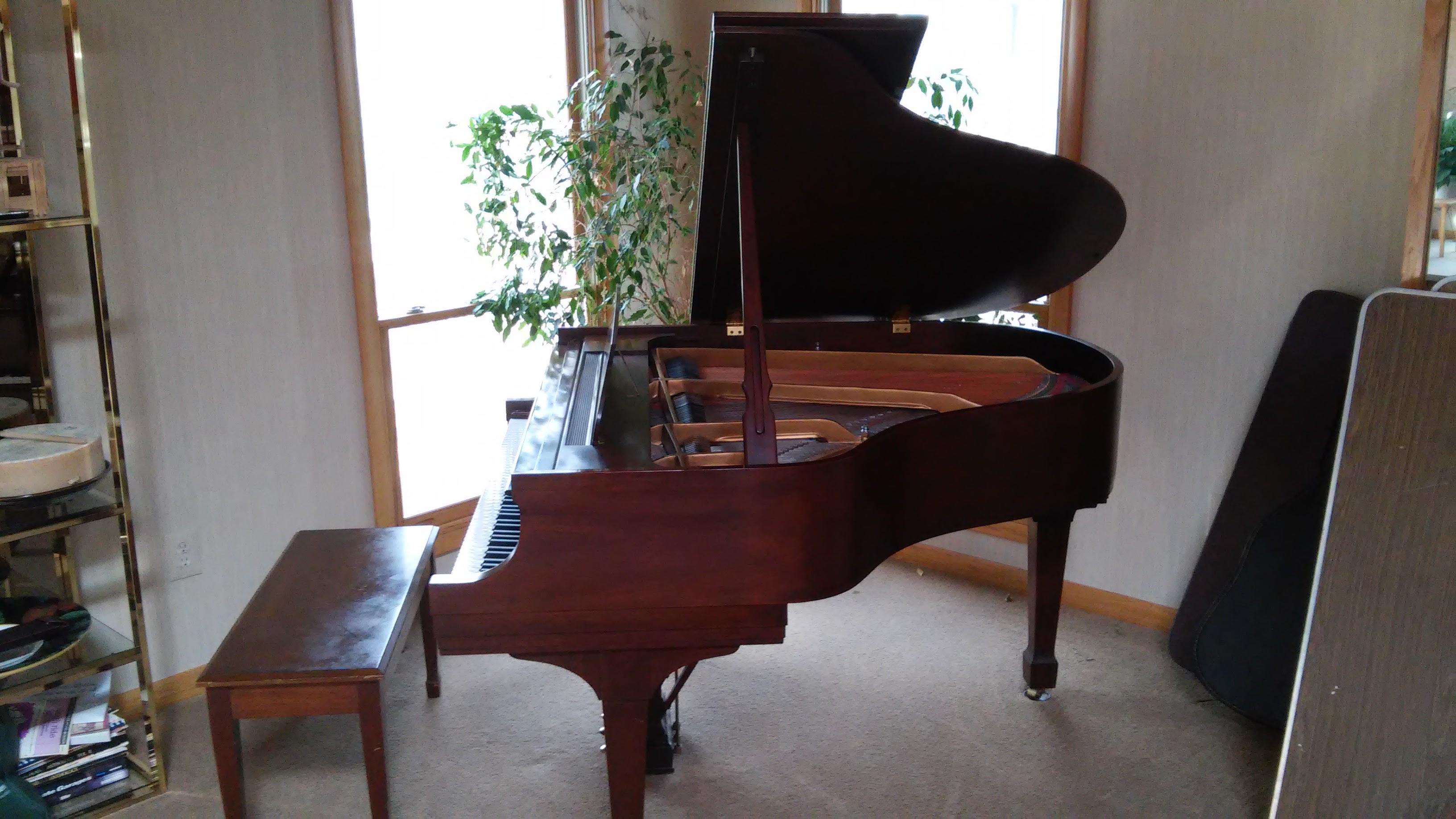 Steinway Series S, original owner