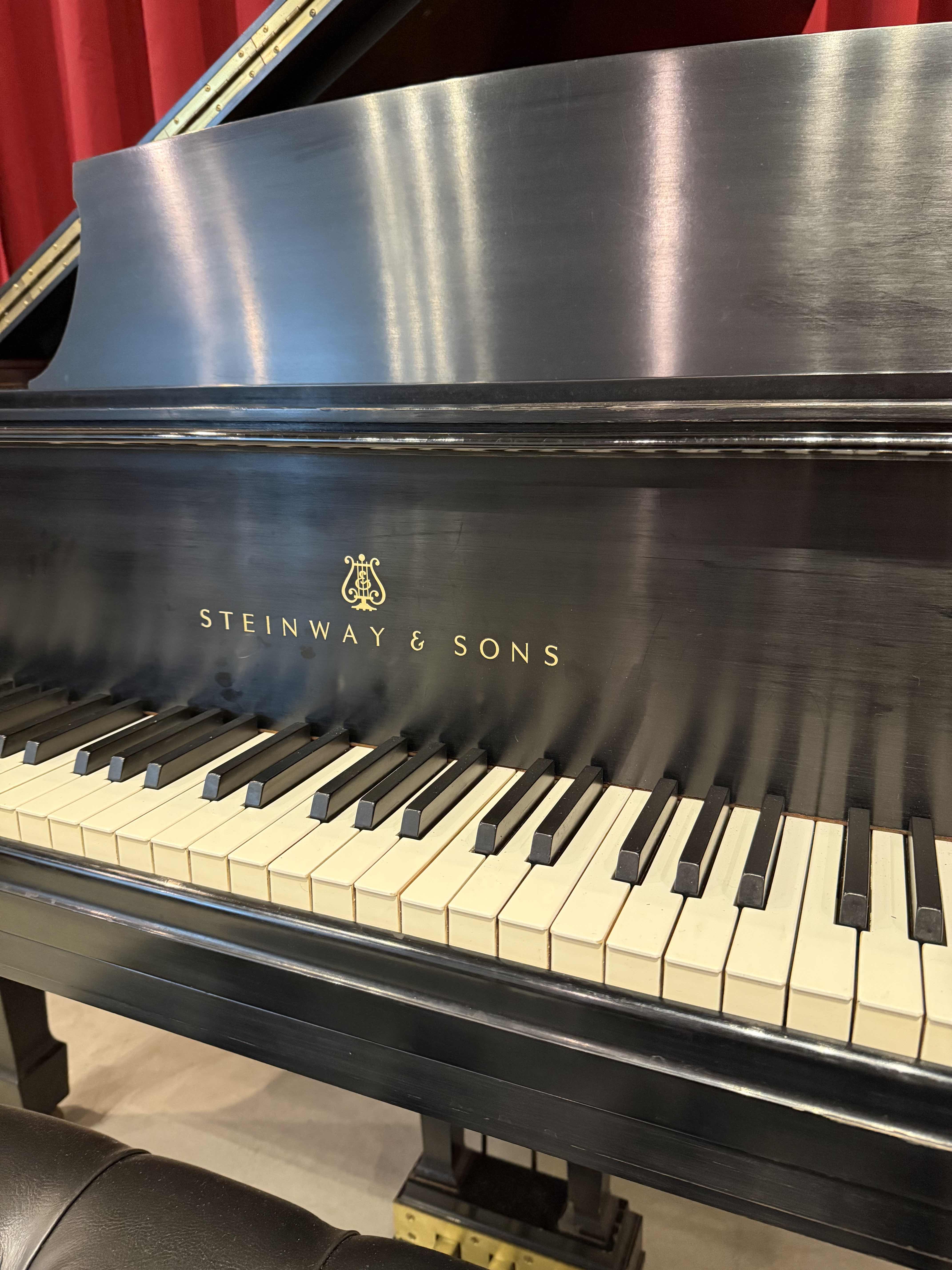 Pristine Steinway M