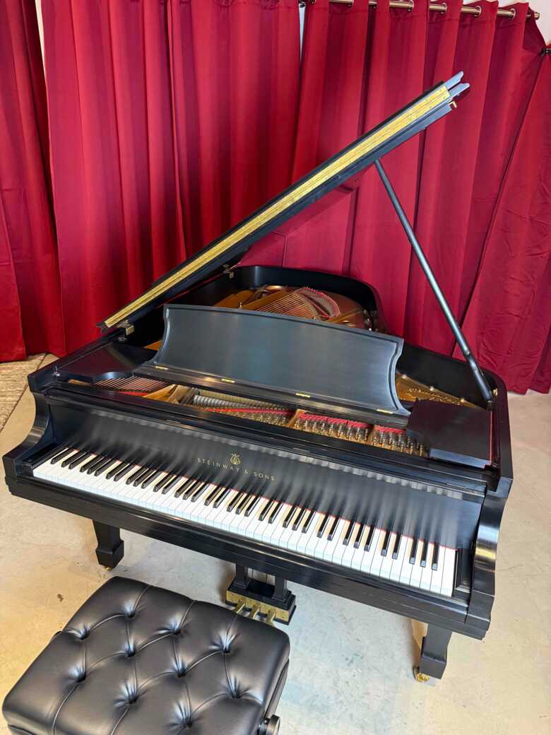 Sleeping Beauty Steinway B