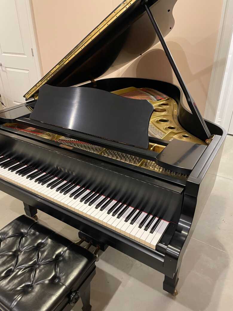 Massive sounding C3, bargain price