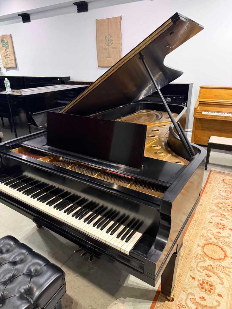 True Concert Grand