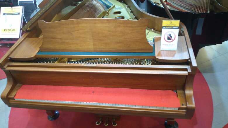 grand piano steinway and son