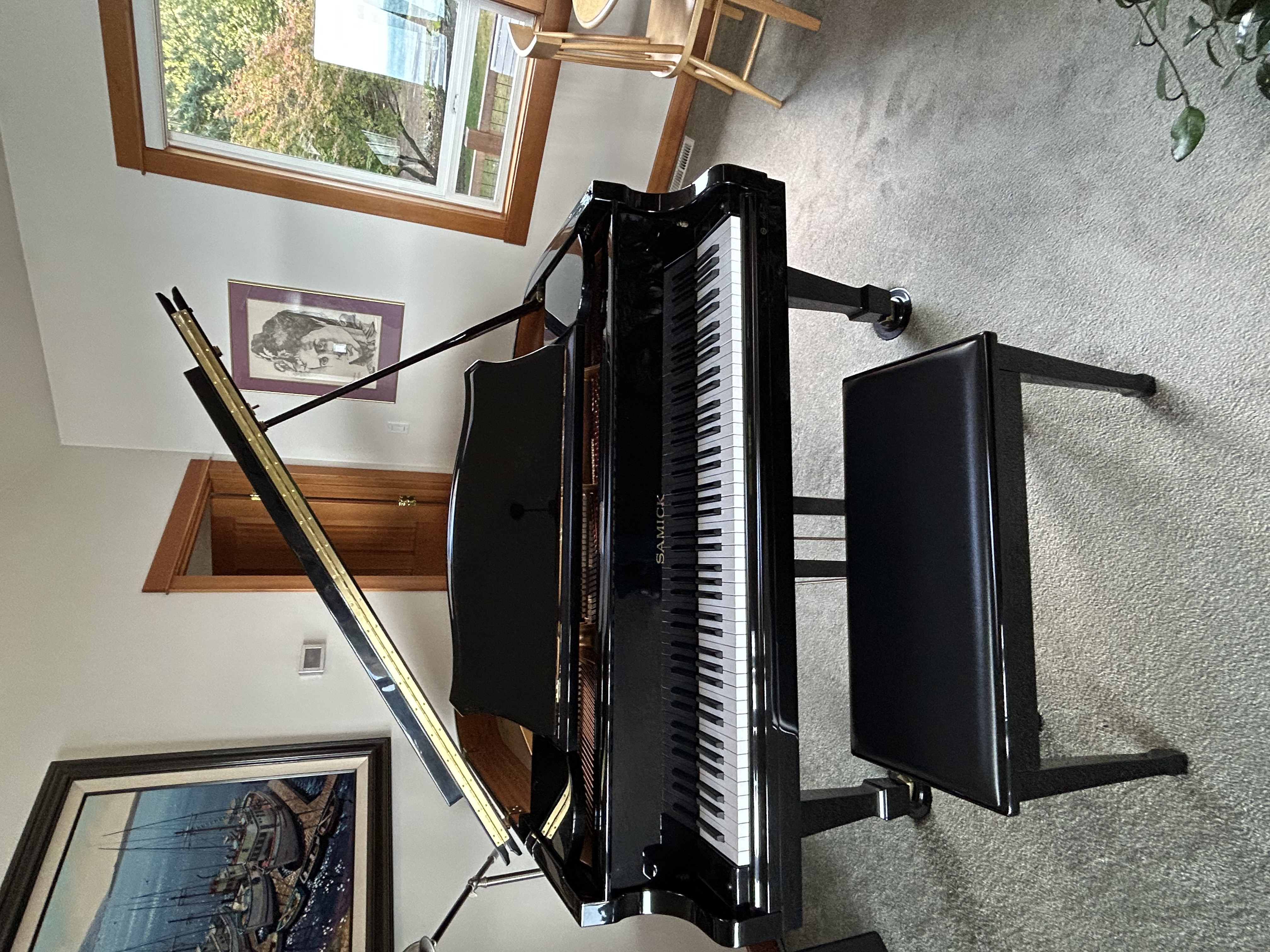 Pristine Samick parlor grand!