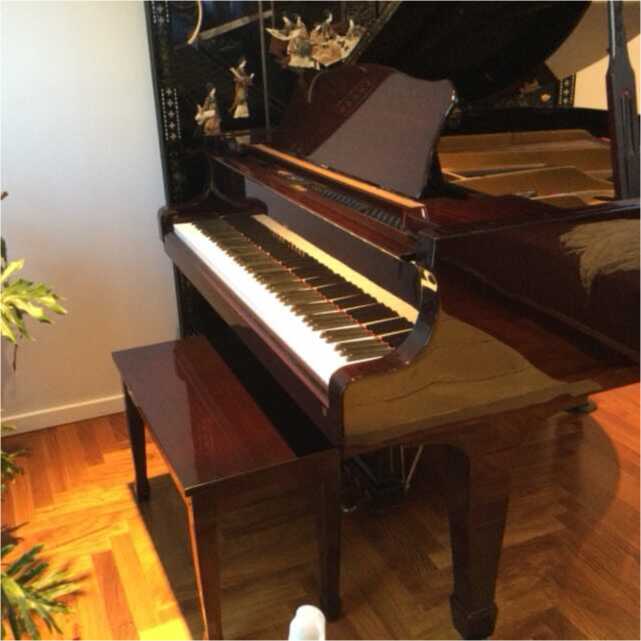 Mahoghany baby Grand