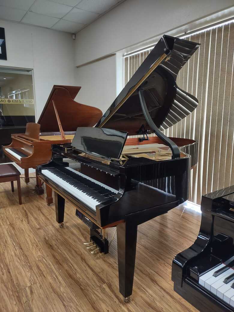 Limited Edition Steinway with PianoDisc Player