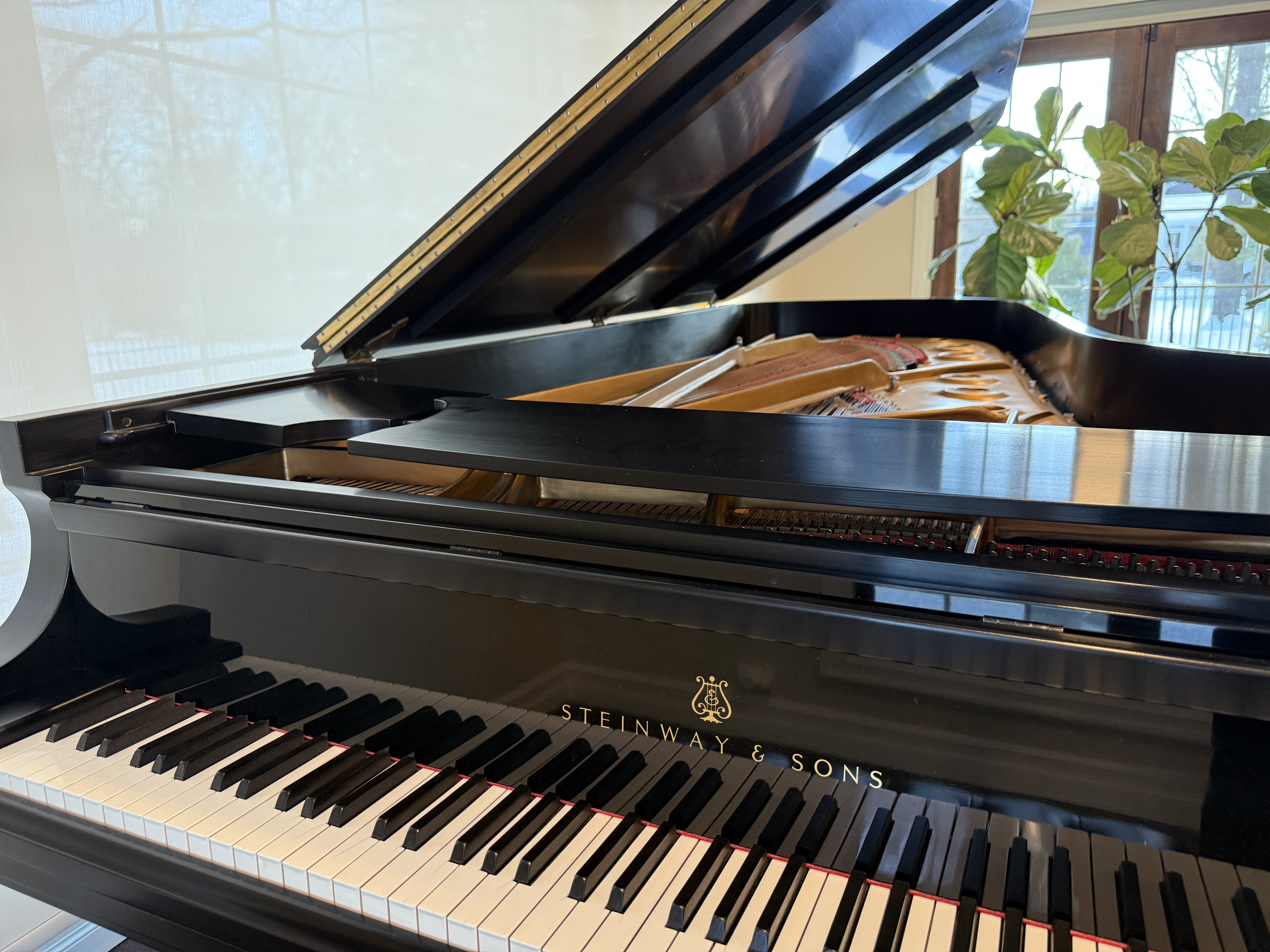 1986 Steinway D