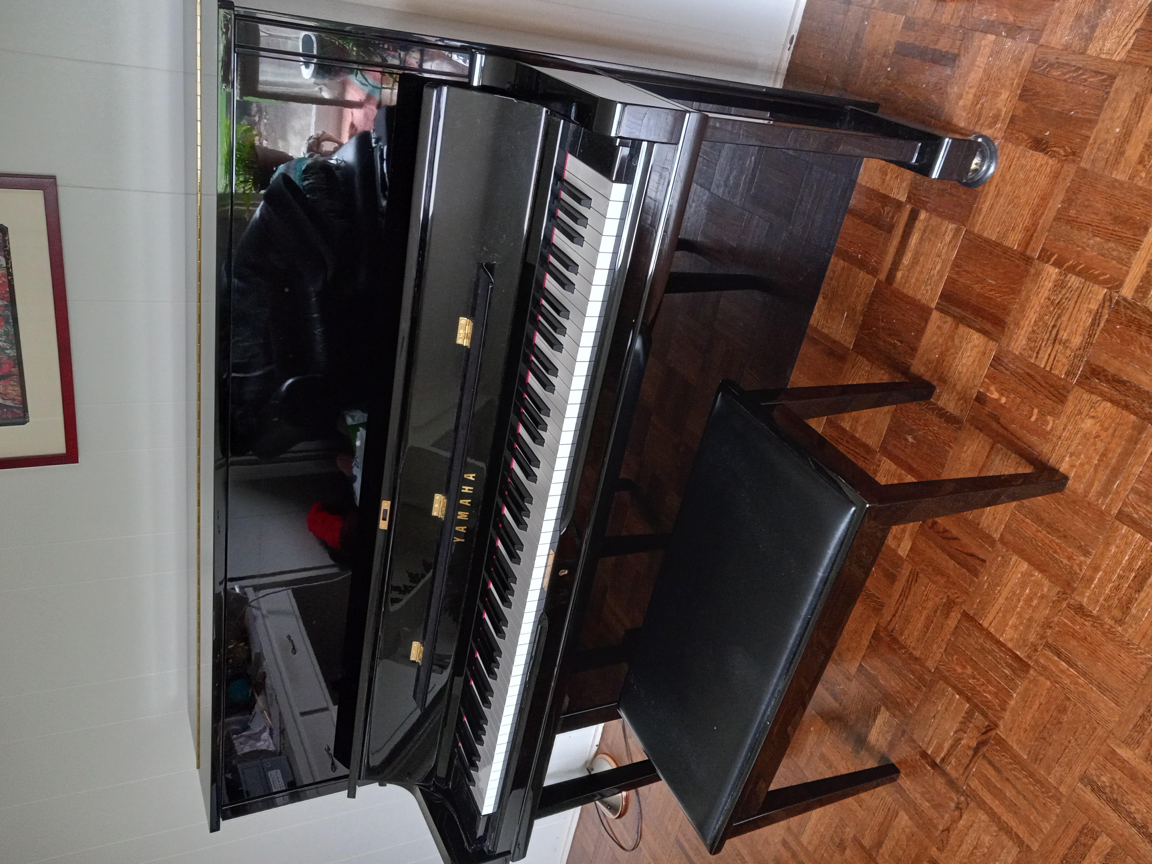 Yamaha YUS1 - Nearly New