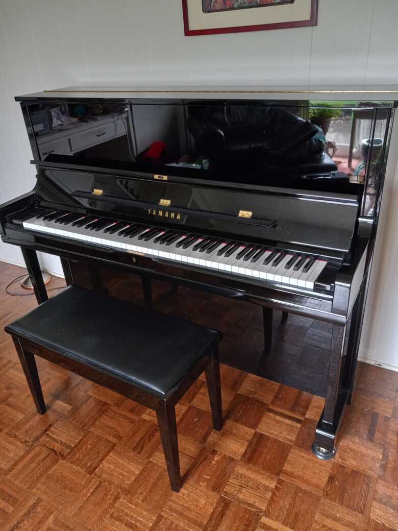 Yamaha YUS1 - Nearly New