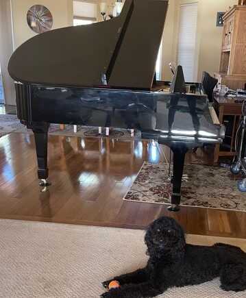 Beautiful Schumann Grand Piano 