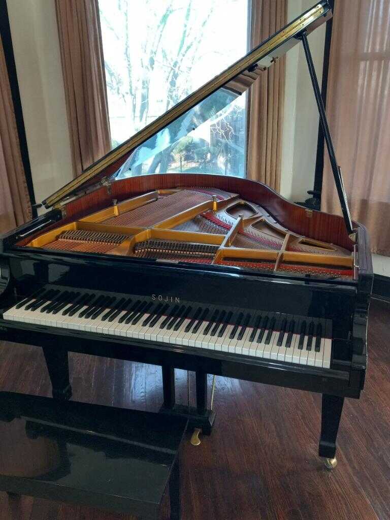 Beautiful Grand Piano-1 Owner