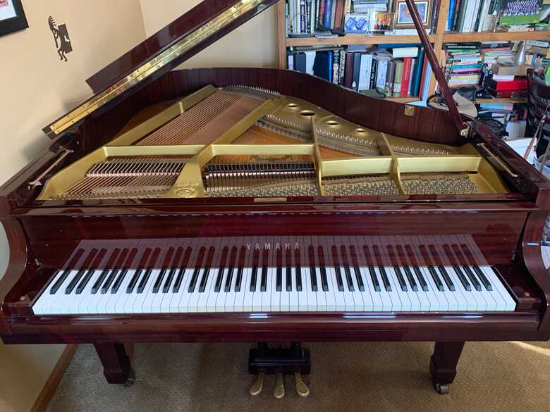 Yamaha G1 Gorgeous baby grand-JUST REDUCED