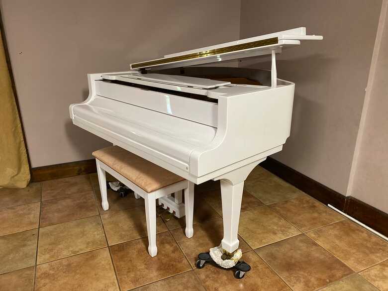 Weber Baby Grand Piano with self play option 