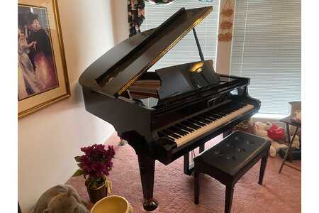 who owns schimmel piano