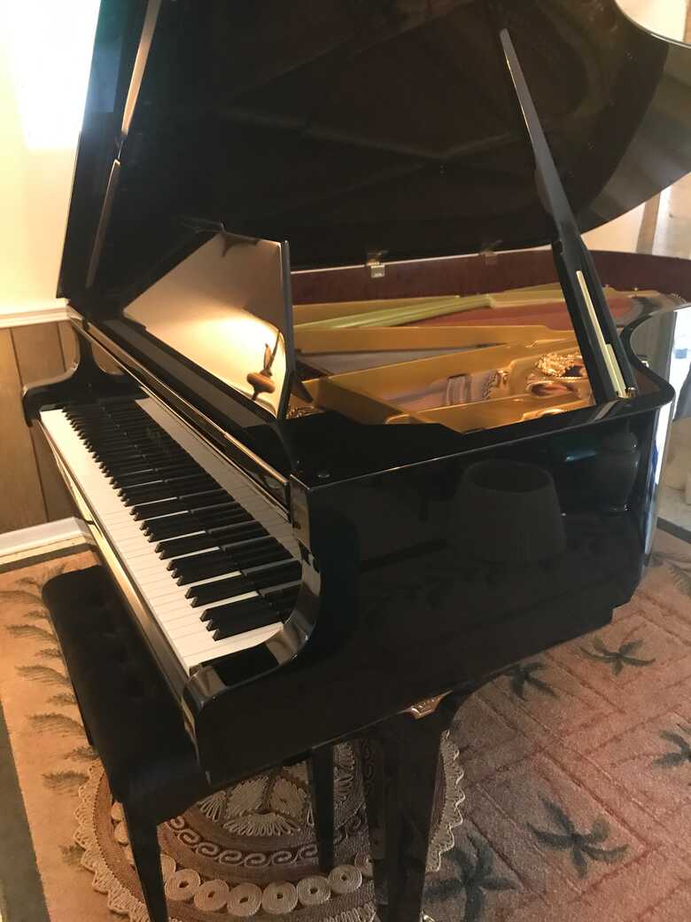 Schimmel Parlor Grand Piano: Model CC 208 DE