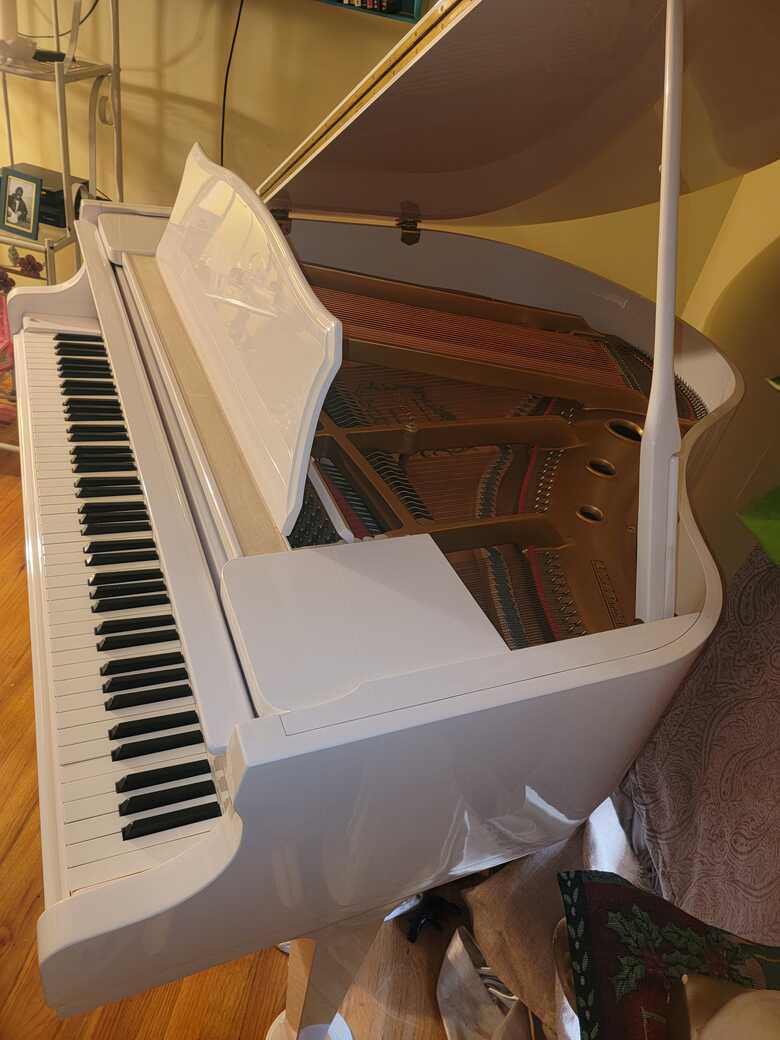 Gorgeous Piano never touched