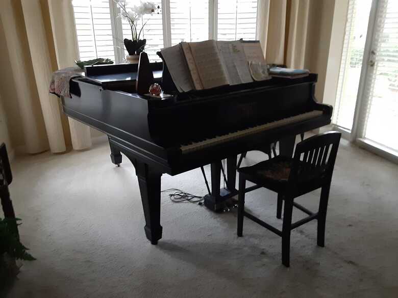 Steinway Parlor Grand