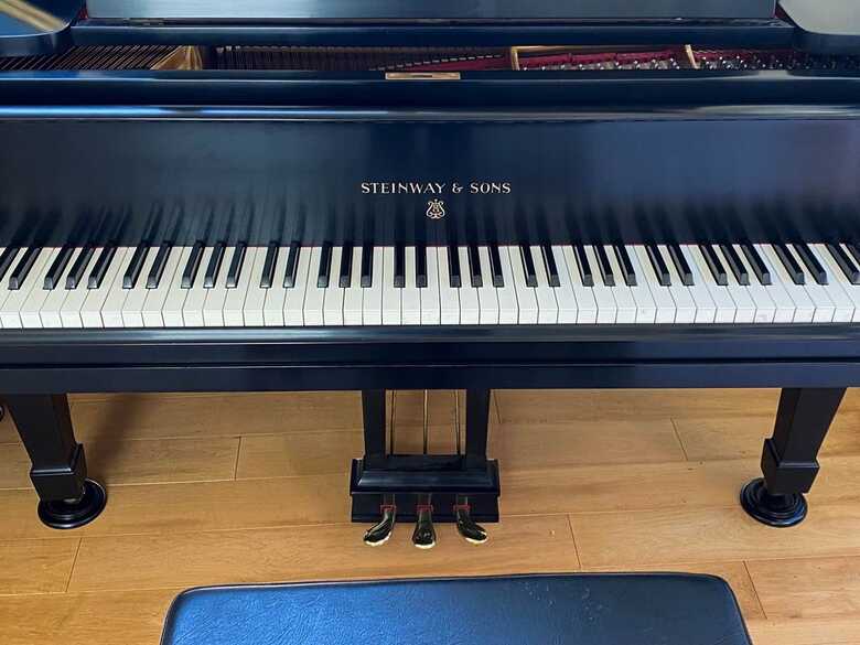 Rare and Gorgeous Hand-Made Steinway B Concert Grand in Palo