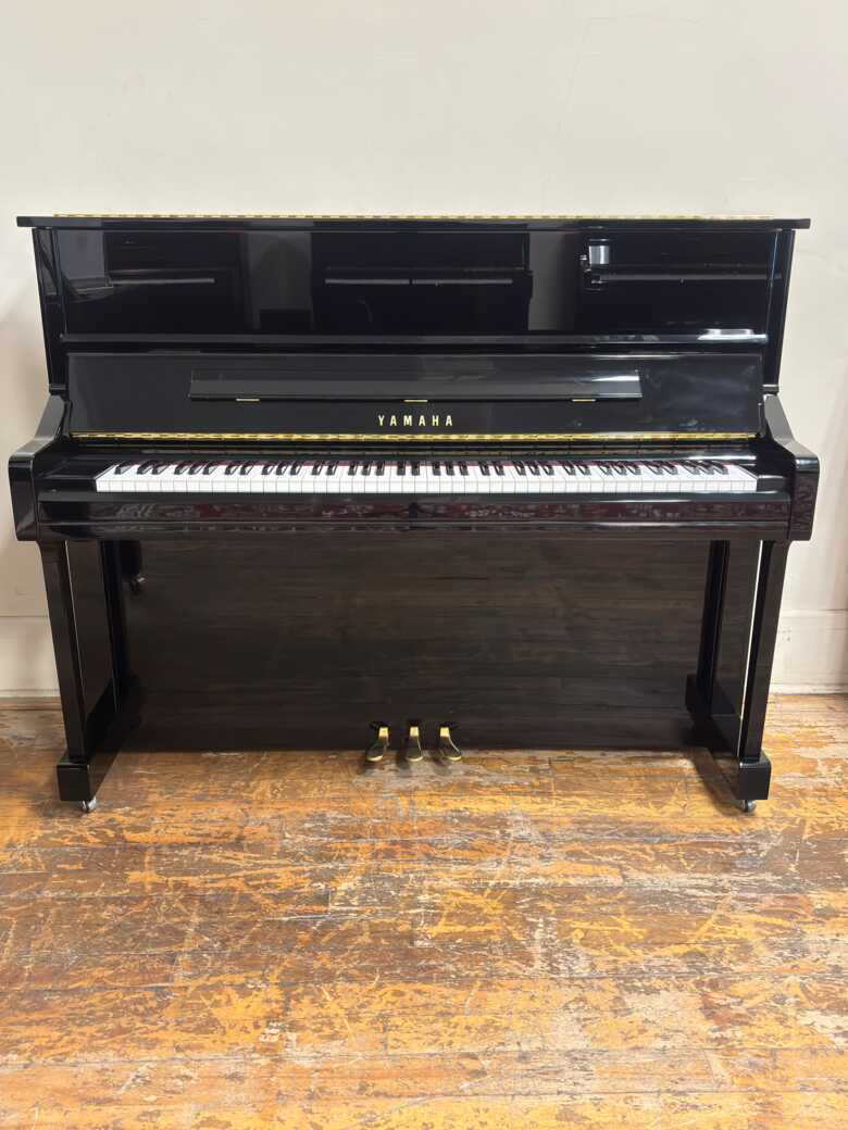 yamaha u1 2020 