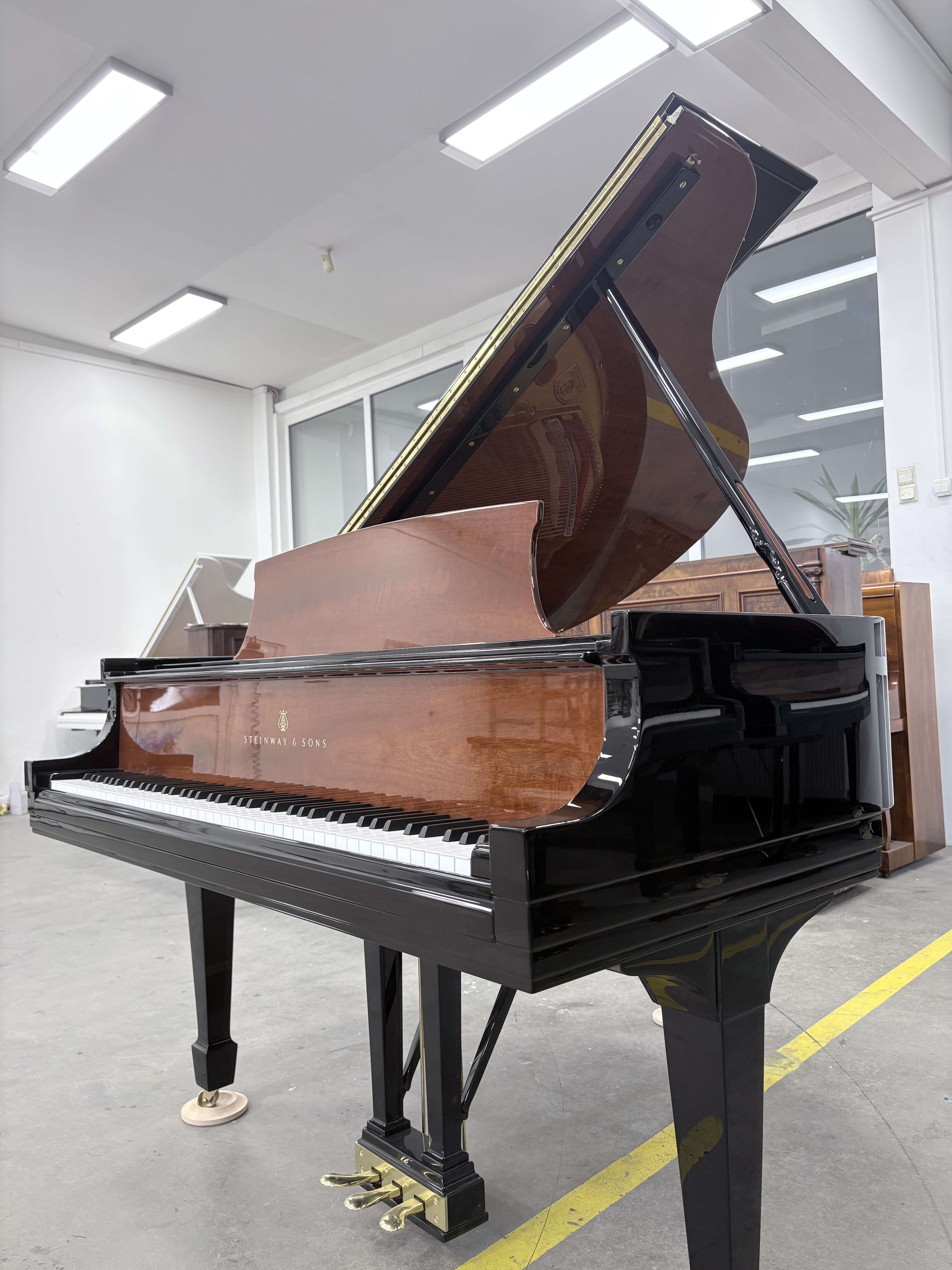 Steinway & Sons Model S Art Case Grand Piano 