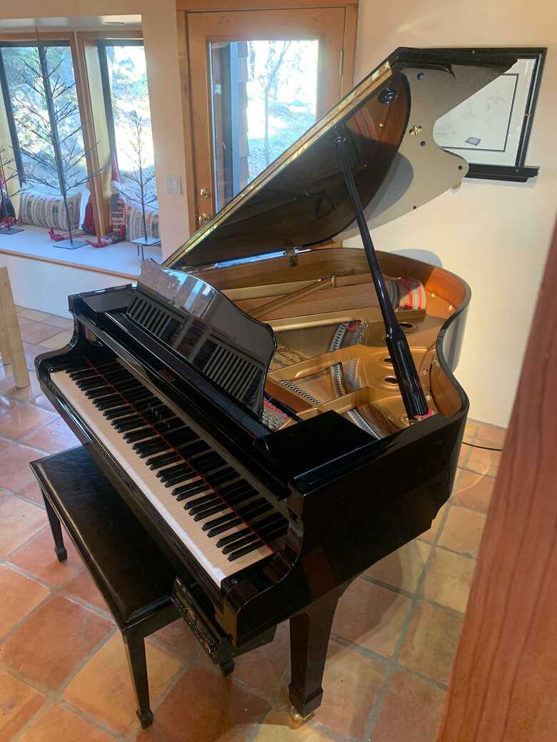 Dated Wish eleven Yamaha DC2A Grand Piano - Disklavier | Piano for sale