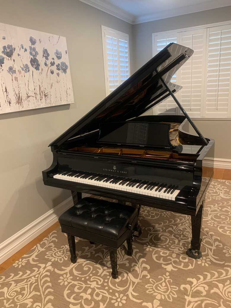 1969 Steinway & Sons Grand Piano D