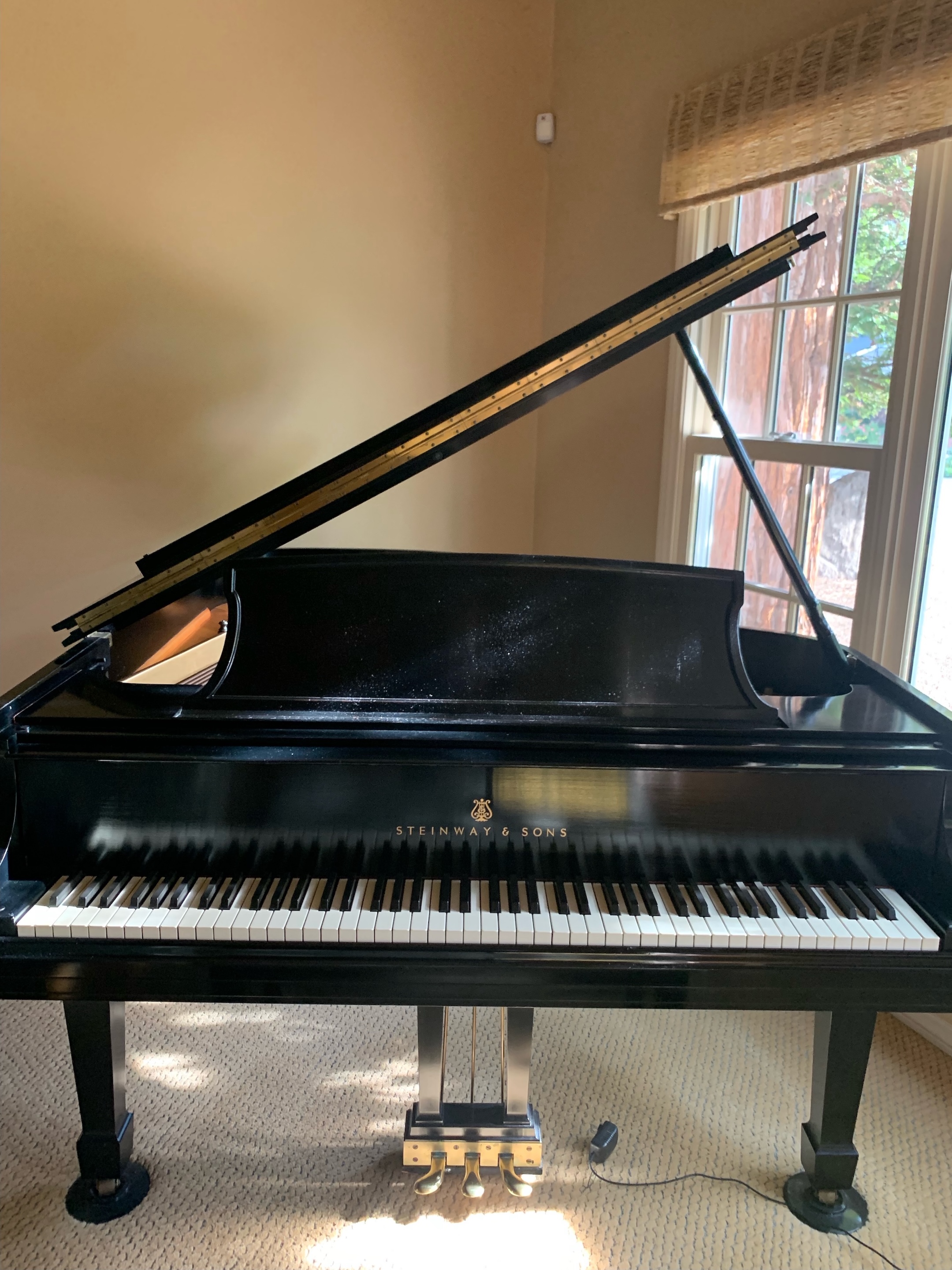 Steinway L Grand Piano