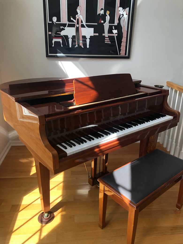 Otto Altenburg Baby Grand Piano