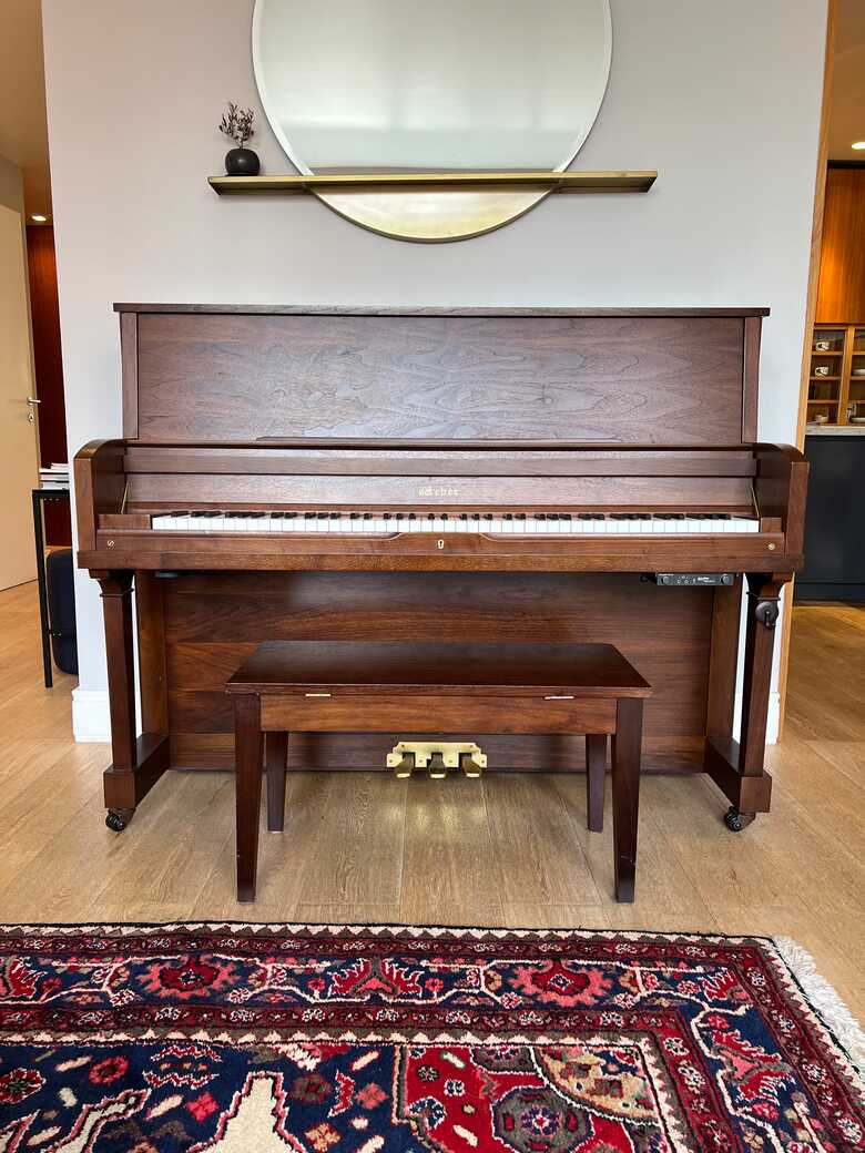 Professional upright with silent system
