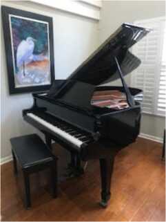 Pramberger PlayerPiano 2002Polished Ebony Excellent Codition