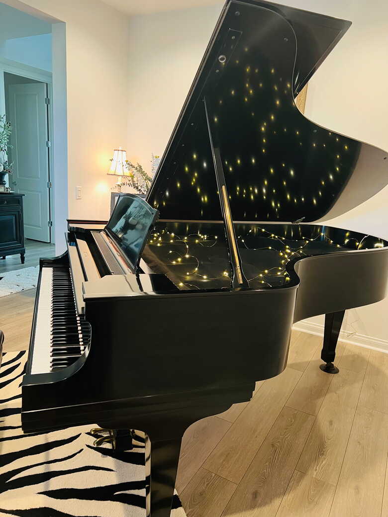 Steinway &  Sons  Music Room Grand