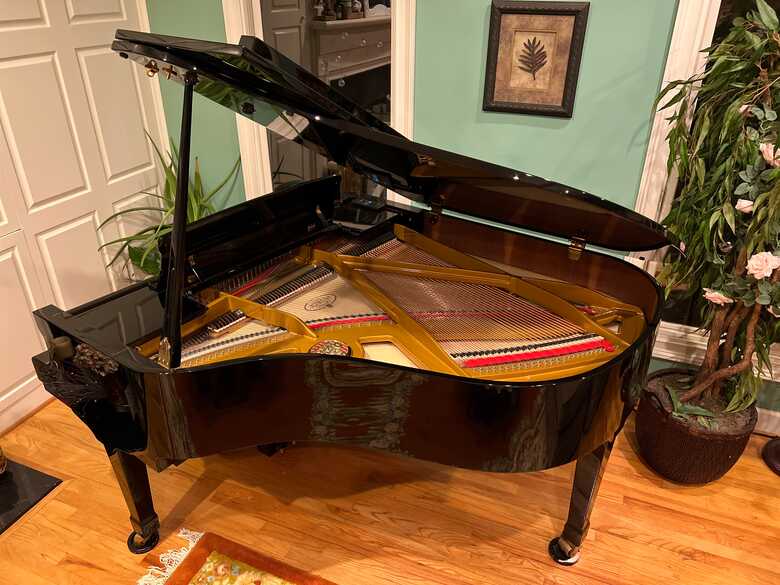 Excellent Beautiful Petrof Ebony Grand Piano 5'8" 