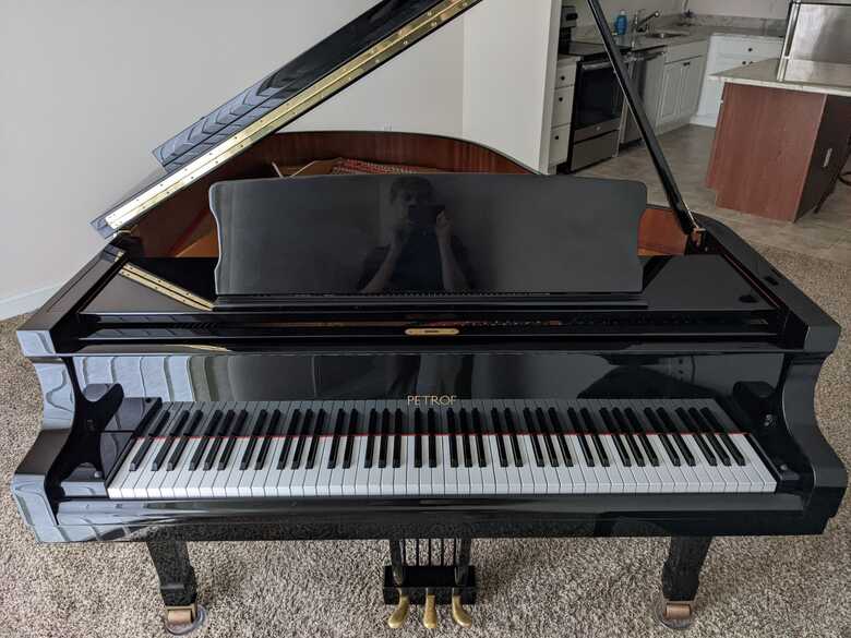 Petrof Model IV 2008 Grand Piano