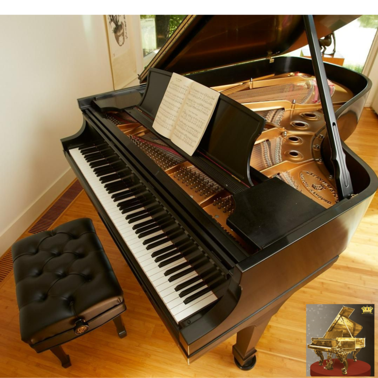 Concerrt Ready Steinway & Sons Model B - Two to Choose From