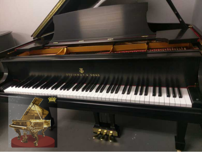 GLORIOUS Steinway & Sons Model S Baby Grand
