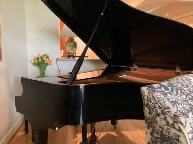 Like new beautiful George Steck baby grand piano