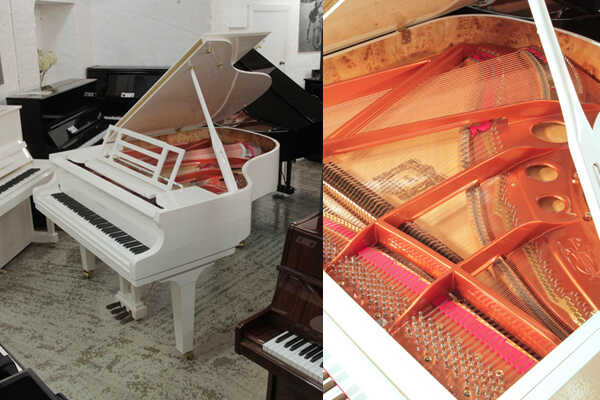 New, Feurich F179 Dynamic Grand Piano