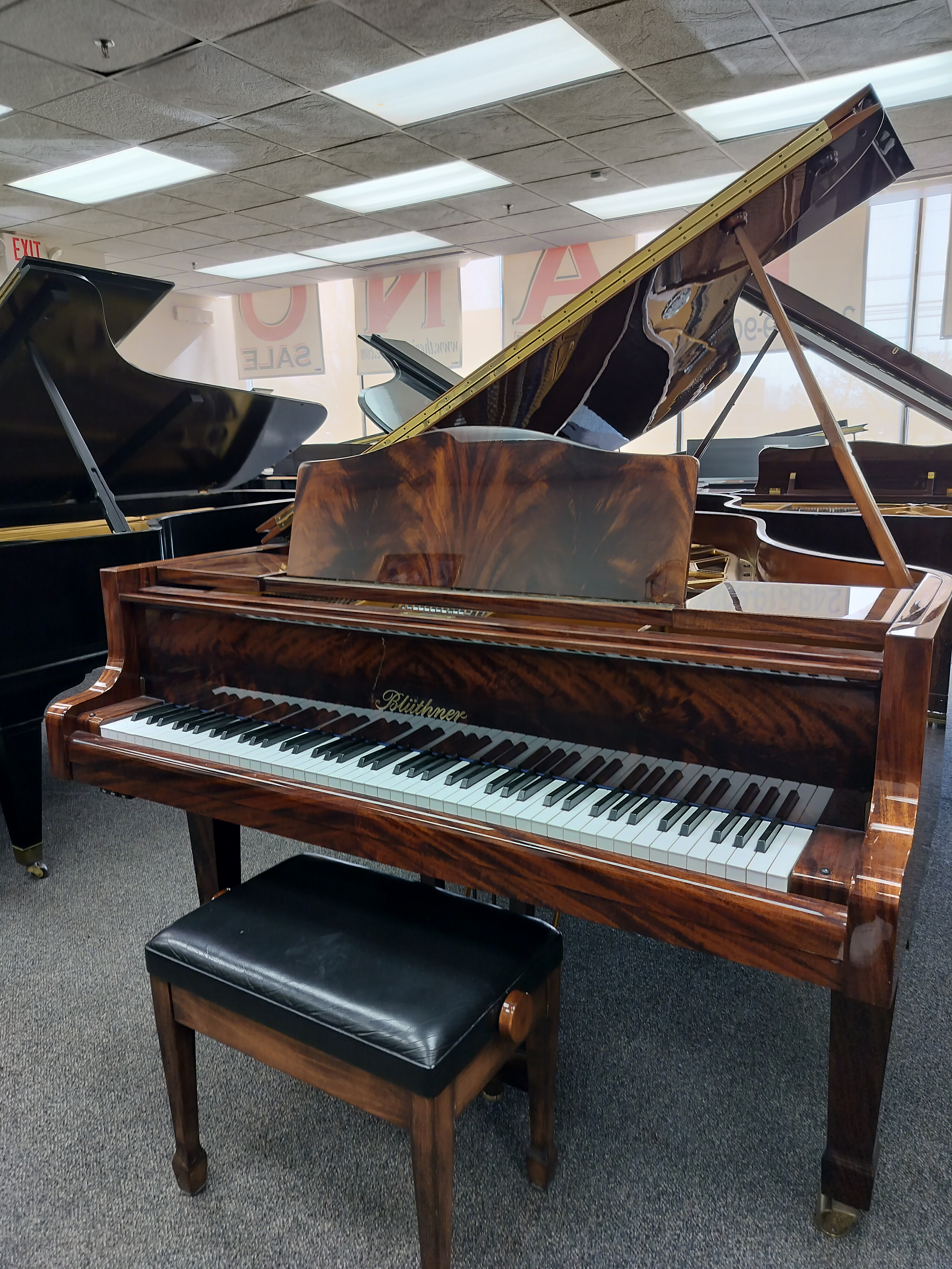 Bluthner Pyramid Mahogany Custom Parlor Grand Piano