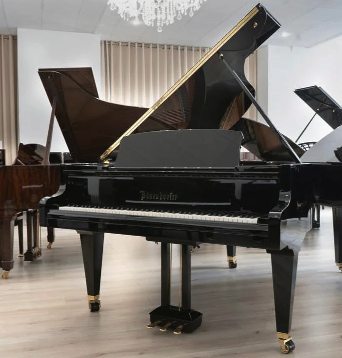 Bösendorfer 200 (6'5")