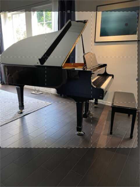 Yamaha C3 6' 1" Black Grand Looking for New Home